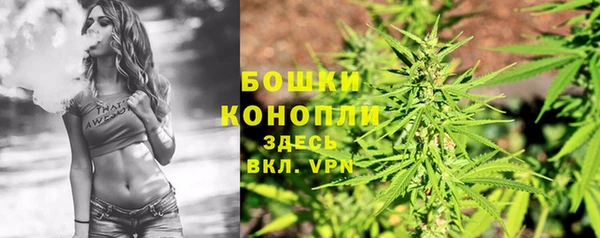 трава Беломорск