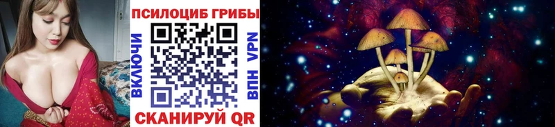 Псилоцибиновые грибы Cubensis  Новоалександровск 